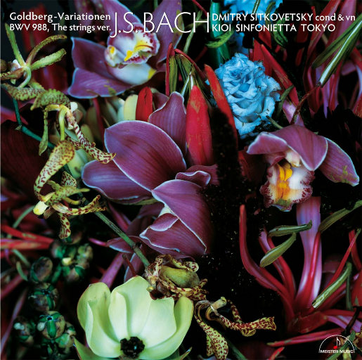 我的老婆晓馨全文阅读
